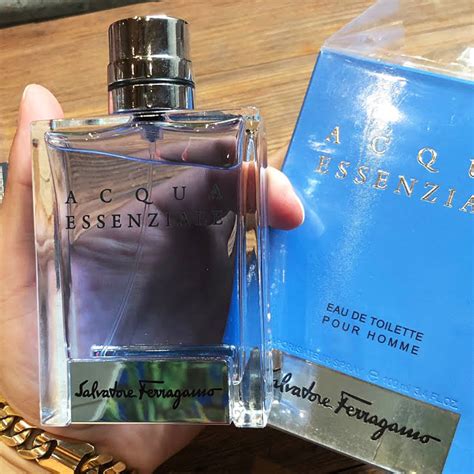 vergelijkbaar aan versace|5 Colognes Similar To Versace Pour Homme [Ultimate Dupes].